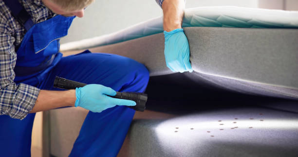 Best Residential Pest Control  in Franklin Park, FL