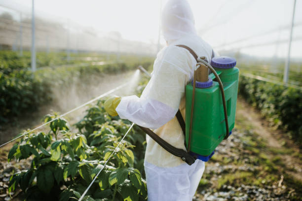 Trusted Franklin Park, FL Pest Control Experts
